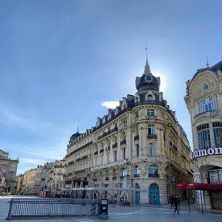 Appartement Chic - La Terrasse Bazille - Netflix *