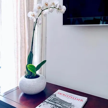 Chic - La Terrasse Bazille - Netflix Appartement Montpellier