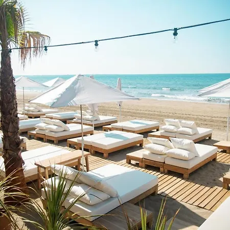 Chic - La Terrasse Bazille - Netflix * Montpellier